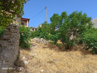 Καθαρισμός Οικοπέδων από αγριόχορτα