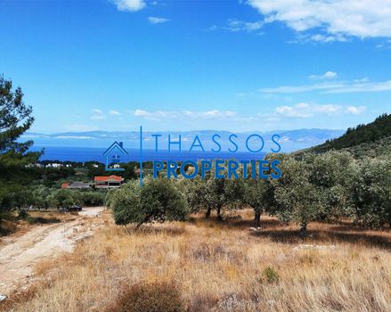 Αγροτεμάχια 5.360τ.μ. για πώληση-Θάσος