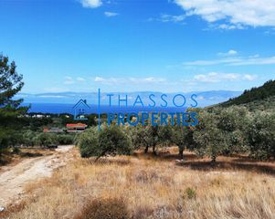 Αγροτεμάχια 5.360 τ.μ. για πώληση