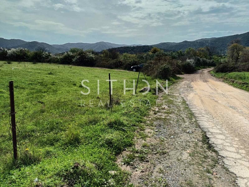 Αγροτεμάχια 3.361 τ.μ. προς πώληση, Συκιά Τορώνης