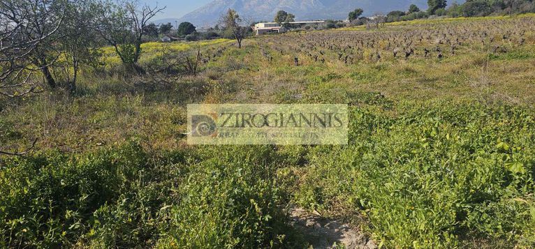 Αγροτεμάχια 20.000 τ.μ. για πώληση, Αθήνα - Ανατολικά Προάστια, Παλλήνη