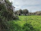Αγροτεμάχια 1.097τ.μ. για πώληση-Τορώνη » Συκιά
