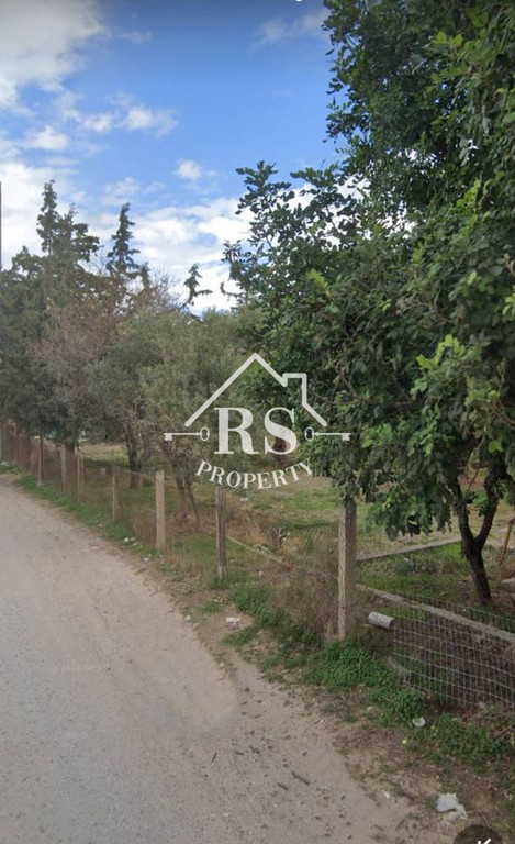 Οικόπεδο 2.350 τ.μ. πρός πώληση, Νησιά Αργοσαρωνικού, Σαλαμίνα
