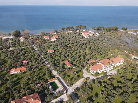 Αγροτεμάχια 6.900τ.μ. για ενοικίαση-Θάσος » Σκάλα ραχωνίου