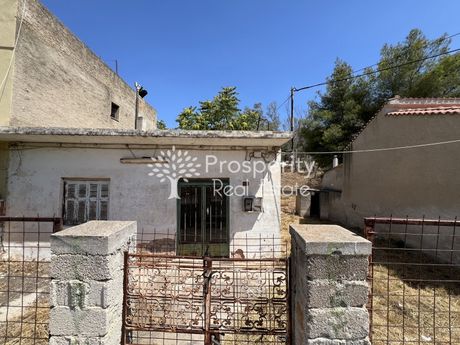Αγροτεμάχια 176 τ.μ. για πώληση