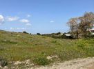 Αγροτεμάχια 5.987τ.μ. για πώληση-Κερατέα