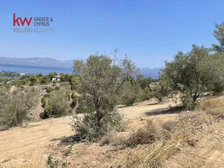 Αγροτεμάχια 3.125 τ.μ. για πώληση
