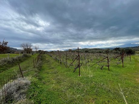Parcel 5.500sqm for sale-Rethimno » Armenoi