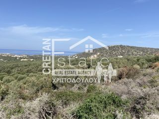 Αγροτεμάχια 2.000 τ.μ. για πώληση