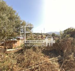Αγροτεμάχια 8.000 τ.μ. για πώληση, Ν. Λασιθίου, Βραχάσι-thumb-1