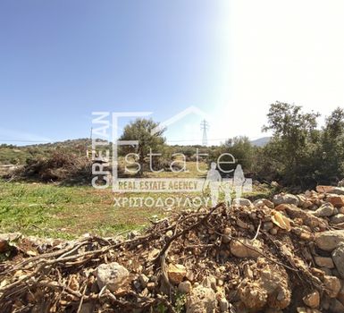 Parcel 8.000sqm for sale-Vrachasi » Selinari