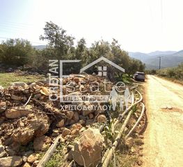 Αγροτεμάχια 8.000 τ.μ. για πώληση, Ν. Λασιθίου, Βραχάσι-thumb-6