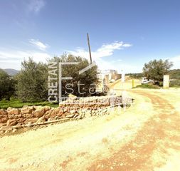 Αγροτεμάχια 8.000 τ.μ. για πώληση, Ν. Λασιθίου, Βραχάσι-thumb-7