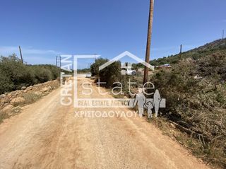 Αγροτεμάχια 8.000 τ.μ. για πώληση, Ν. Λασιθίου, Βραχάσι-thumb-4
