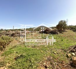 Αγροτεμάχια 8.000 τ.μ. για πώληση, Ν. Λασιθίου, Βραχάσι-thumb-3
