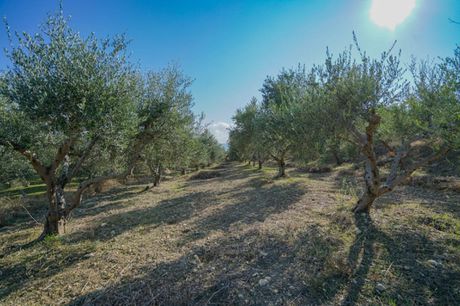 Land plot 2.179sqm for sale-Arkadi » Agios Nikolaos