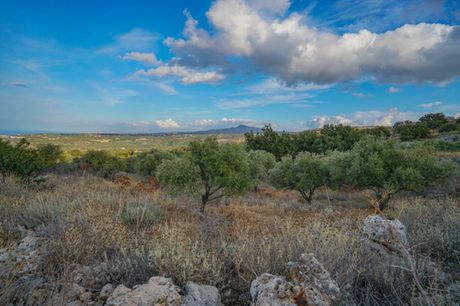 Parcel 5.300sqm for sale-Nikiforos Fokas » Gerani