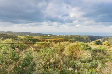 Parcel 25.190sqm for sale-Arkadi » Agia Triada