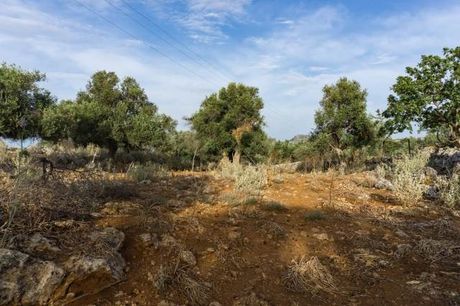 Parcel 4.135sqm for sale-Nikiforos Fokas » Atsipopoulo