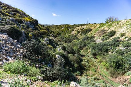 Parcel 3.200sqm for sale-Nikiforos Fokas » Gerani