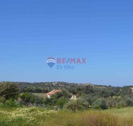 Αγροτεμάχια 4.612 τ.μ. προς πώληση, Βίλια Αττικής
