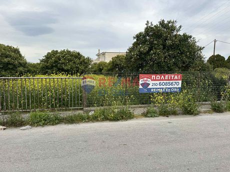 Οικόπεδο 995 τ.μ. για πώληση