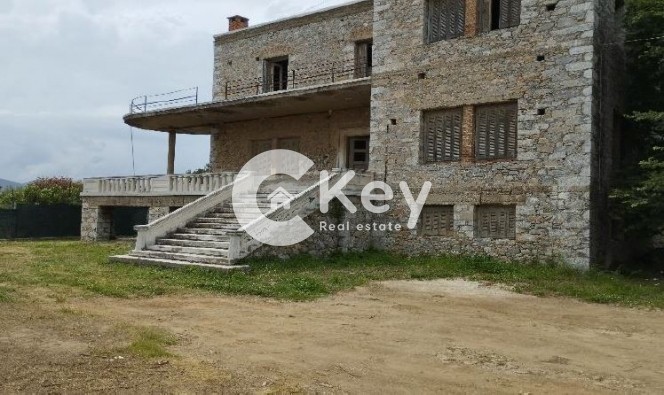 Κτίριο 754 τ.μ. προς πώληση, Ν. Λέσβου, Λέσβος - Μυτιλήνη