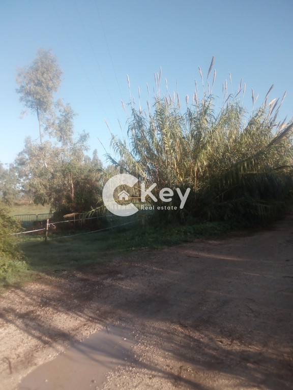 Αγροτεμάχια 64.523 τ.μ. προς πώληση, Γιάλοβα