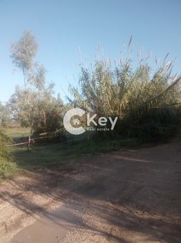 Parcel 64.523sqm for sale-Pilos » Gialova