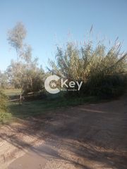 Αγροτεμάχια 64.523 τ.μ. για πώληση