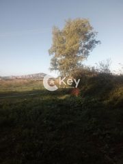 Αγροτεμάχια 64.523 τ.μ. προς πώληση, Γιάλοβα-thumb-1