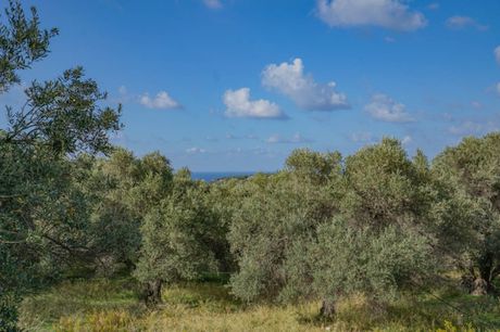 Land plot 4.783sqm for sale-Arkadi » Pigi