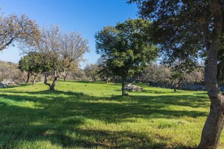 Parcel 4.000sqm for sale-Nikiforos Fokas » Atsipopoulo