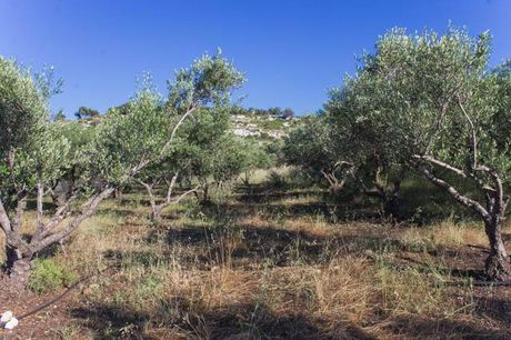 Parcel 4.745sqm for sale-Geropotamos » Roumeli