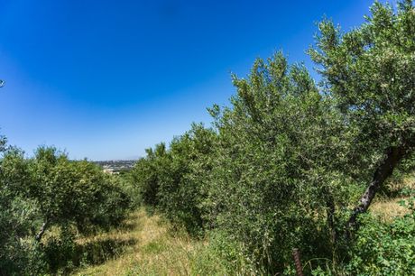 Land plot 698sqm for sale-Arkadi » Loutra