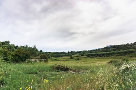 Parcel 13.000sqm for sale-Nikiforos Fokas » Roustika