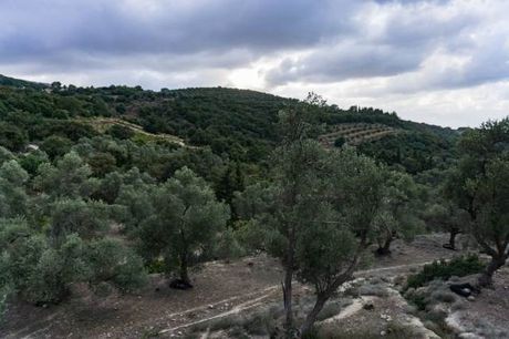 Parcel 8.891sqm for sale-Arkadi » Amnatos