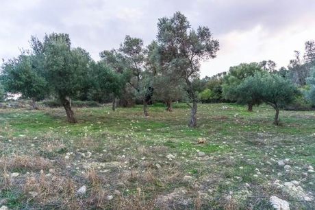 Parcel 18.252sqm for sale-Arkadi » Kyrianna