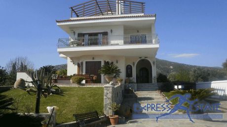 Βίλλα 650 τ.μ. για πώληση