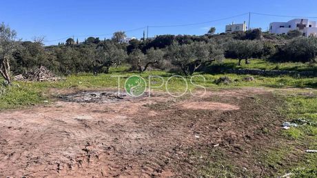 Land plot 1.450 sqm for sale