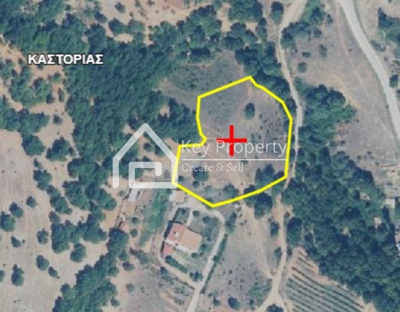 Οικόπεδο 5.000 τ.μ. πρός πώληση, Ν. Καστοριάς, Καστοριά