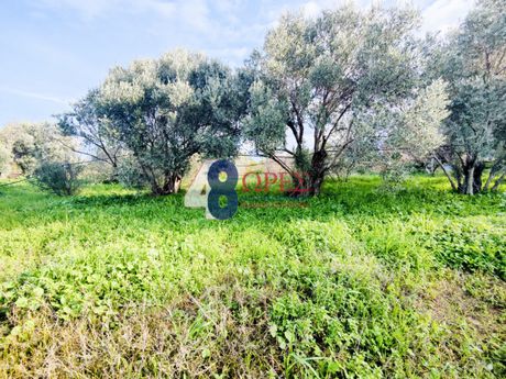 Οικόπεδο 2.124τ.μ. για πώληση-Χίος » Πόλη χίου
