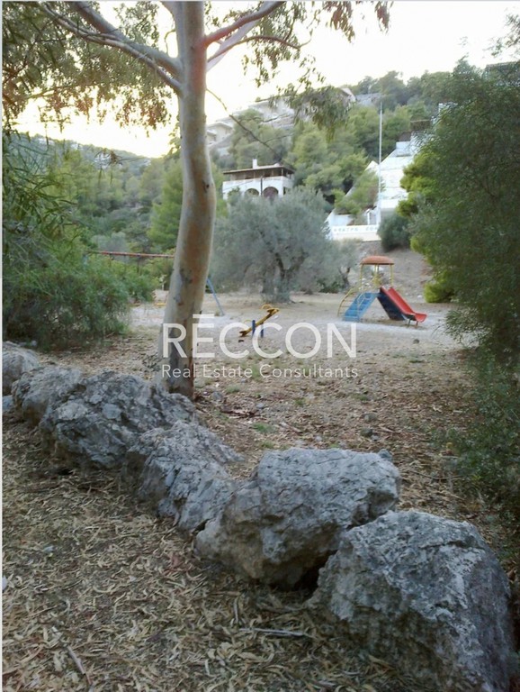 Οικόπεδο 517 τ.μ. προς πώληση, Πευκάλι