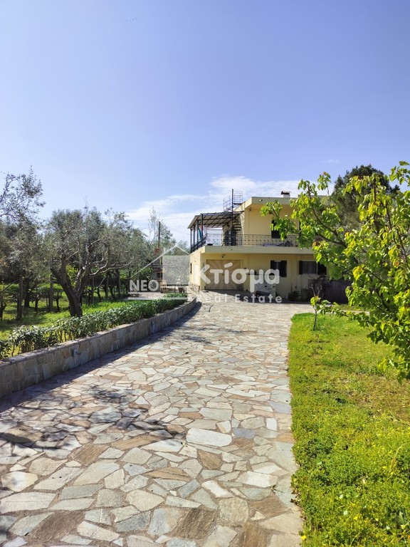 Κτίριο 140 τ.μ. πρός ενοικίαση, Ν. Ηλείας, Πύργος