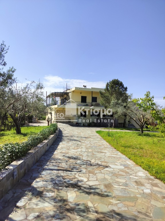 Κτίριο 140 τ.μ. πρός ενοικίαση, Ν. Ηλείας, Πύργος