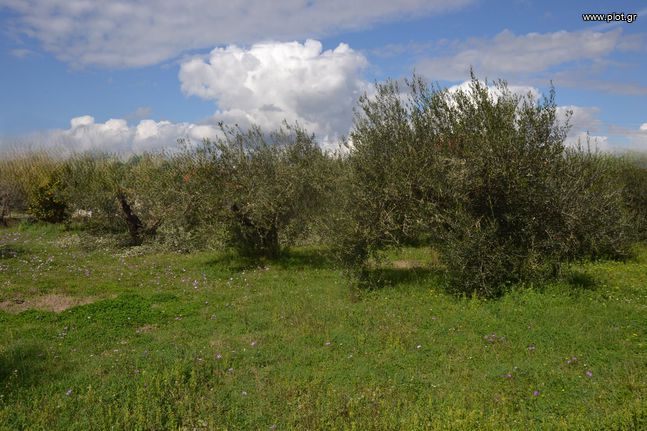 Οικόπεδο 1.950 τ.μ. για πώληση, Ν. Πρέβεζας, Πρέβεζα