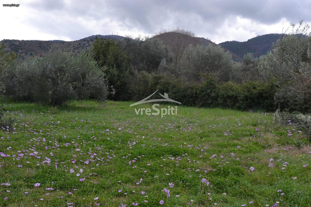 Land plot 1.950 sqm for sale, Preveza Prefecture, Preveza