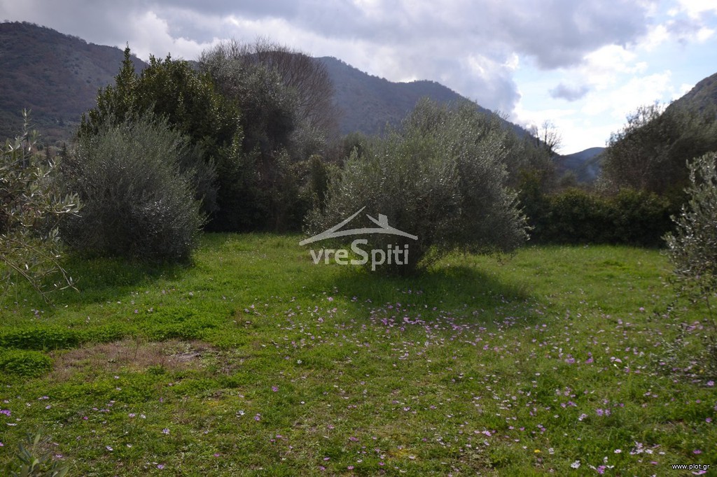 Land plot 1.950 sqm for sale, Preveza Prefecture, Preveza