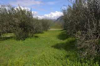 Land plot 1.950 sqm for sale, Preveza Prefecture, Preveza-thumb-3