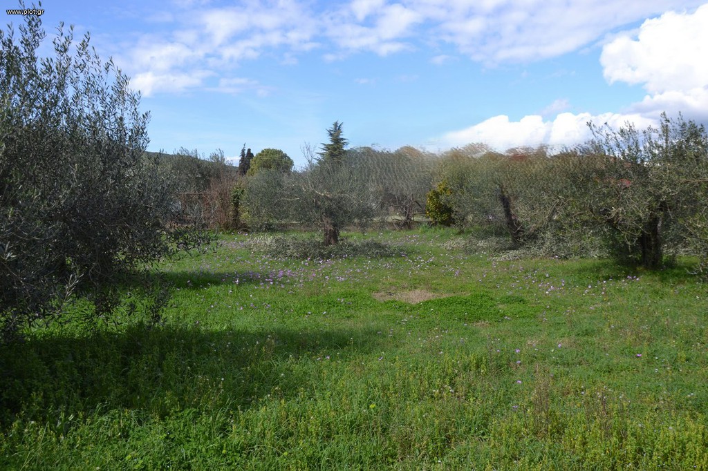 Land plot 1.950 sqm for sale, Preveza Prefecture, Preveza